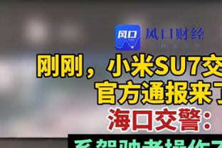 湖人VS鹈鹕述评：胖虎最灿烂时伤退意难平 多持球点红利反哺詹眉